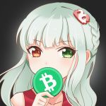 RYU[BCH]₿itcoinさんのプロフィール画像