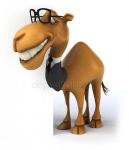 ルッカーさんのプロフィール画像