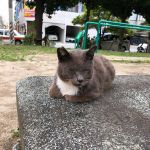 nao56さんのプロフィール画像