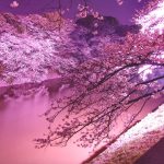 ゆうすけさんのプロフィール画像