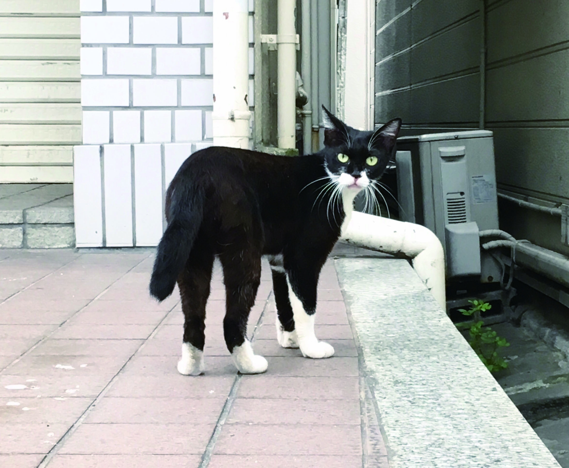 植木チカさんのプロフィール画像