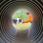 ブリーダー志望さんのプロフィール画像