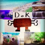 ダカリさんのプロフィール画像