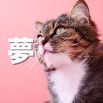 誰も思いつかない製品を作りますさんのプロフィール画像