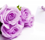 blueroseさんのプロフィール画像