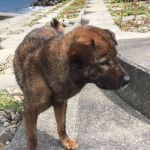 ＫＡＺＵ１５３１さんのプロフィール画像