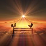 zucさんのプロフィール画像