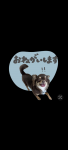 pawlyeesさんのプロフィール画像