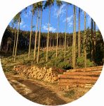 SAME05さんのプロフィール画像